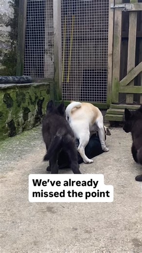 65 reactions · 20 comments | We’ve all been there. Using “play” to...