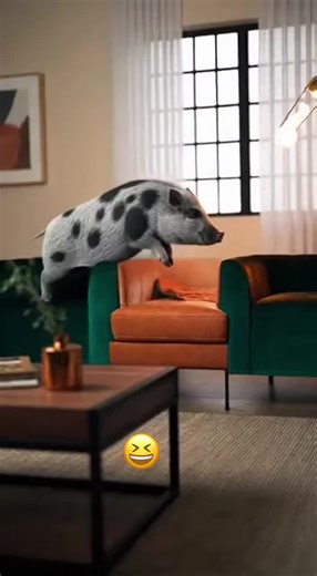 Flying pig in slow motion 😆 🐖 #pig #piggy #fyp #trending #capcut