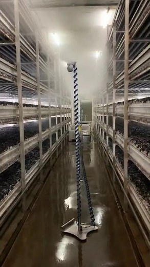 Spraying Systems Co's MiniFogger® III for efficient mushroom #humidification #fogging