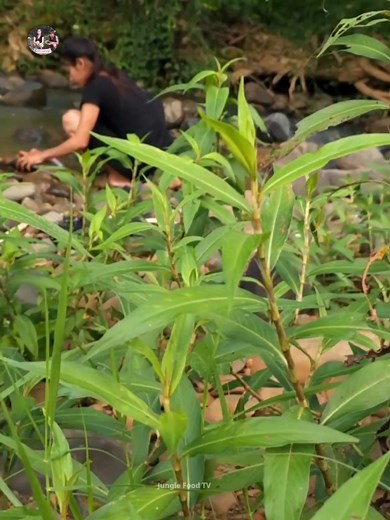 198K views · 2.4K reactions | Delicious Big Fish Eggs grilling & Yummy Part 6 | Jungle Food TV | Facebook