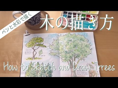 【木の描き方】野外スケッチで木を描く方法｜Beginner's Guide: How to Sketch and Draw Trees