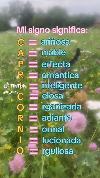 Significado del signo Capricornio y su simbolismo