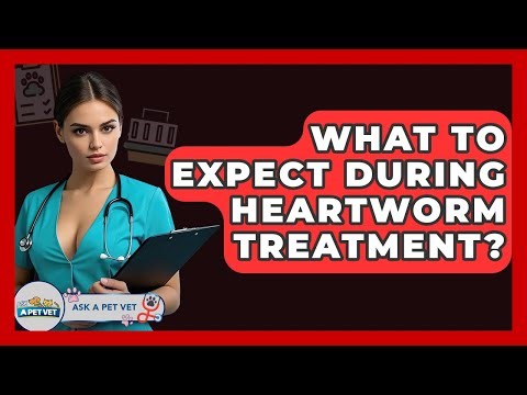What To Expect During Heartworm Treatment? - Ask A Pet Vet