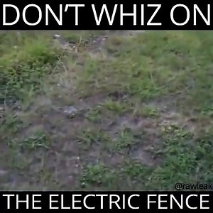 🤣🤣🤣🤣 | AUSTRALIA-The Land Down-Under