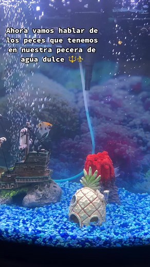 Exploring Loach Fish: Freshwater Species Overview