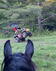 Does this count as a date? 🐴🤣 | Furry Tails