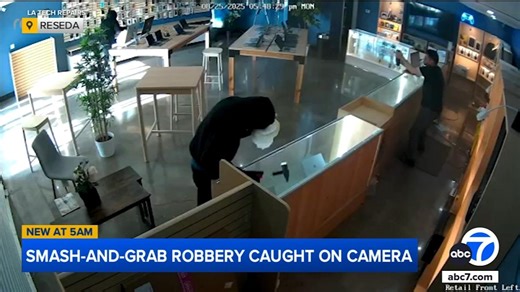 Smash-and-grab suspect, Reseda store owner fire pepper spray at each other during flash mob robbery