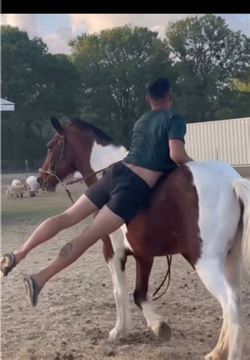 26 years of riding this horse. I can’t even begin to guess how many hours we have spent riding in the California high desert, Anaheim hills , and thru the years here In Texas. Trained him myself and now have had the joy of watching our son learn on him Spirit , You’re the best ! 🥰🥰 #hearthorse #horsesoftiktoktok #painthorse #barebackriding #horse