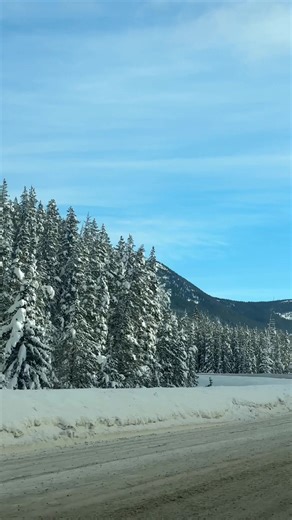 #lake #louise #trip #2026 #familytime