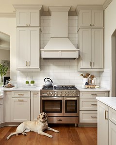 2.6K reactions · 561 shares | Remodeling your kitchen? Bring your dream kitchen to life with our free design service. Getting started is easy! | CliqStudios | Facebook