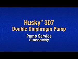 Husky 307 Pump Service - Disassembly