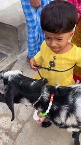 അമ്മുച്ചുട്ടി അകത്തോട്ടുവാ.....😢 കണ്ണ് നിറച്ചു കളഞ്ഞു പോന്നുസേ❤️ | Santhosh SP Edathanattukara