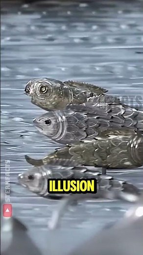 This 1773 Mechanical Swan Still Moves Like It’s Alive