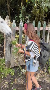 244 reactions · 8 comments | Dokarmiamy zwierzaczka #koń #colombia #salento #polska #coffee #viewpoint #wakacje #streetfood #polskakuchnia #treking #warszawa #góry #wakacje #kolacja #restauracja #foodvlog #youtube #kotlety #polacyzagranica #zupa #streetfood #obiad #śniadanie | Ucieczka_w_Tropiki | Facebook