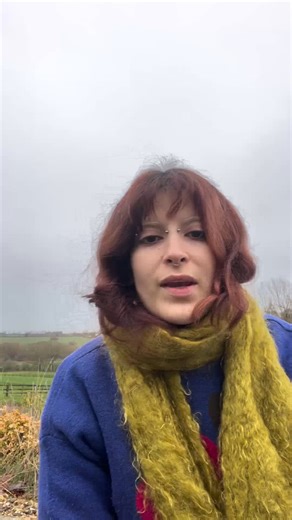 Ori Lavian special portfolio assignment