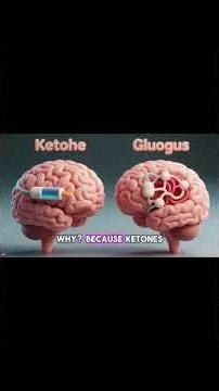 What really happens to your body when you fast for 48 hours? ⏳