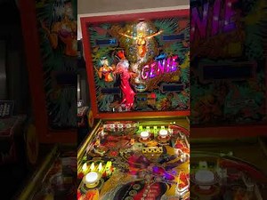 Genie Pinball Repair - The Solid-State Series