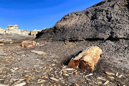 Adventure's Calling: This Remote Wilderness Area Is Ideal for Discovering Fossils in New Mexico