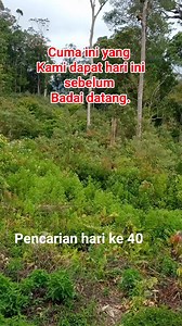 2.6M views · 10K reactions | Suara kayu dipukul- pukul.sebenarnys itu Suara gangguan mahluk halus. Atau cuma suara alam biasa? Kisah di #pencarianwira | Iwan Ichwan | Facebook