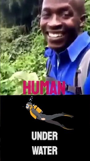 Ok Meme Sound Effect in Different Voices | ok | Sound Effects Bar