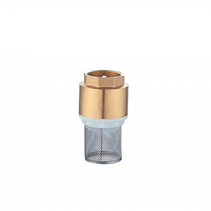 Check Valve With Filter - Premium Residential Valves and Fittings Factory