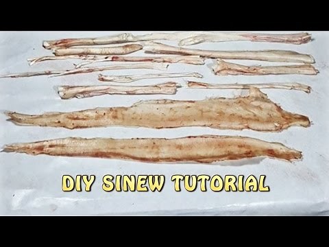How to Harvest Sinew from a Deer