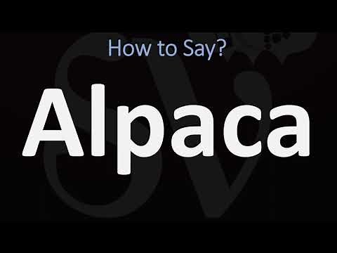 How to Pronounce Alpaca? (CORRECTLY)