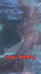 Finding An Alien Shark In Japan #animals #happy #survival #fbreels #funny | Forrest Galante | Facebook