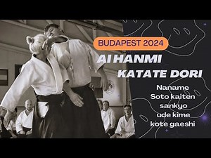 Aikido - Ai hanmi katate dori by Bruno Gonzalez