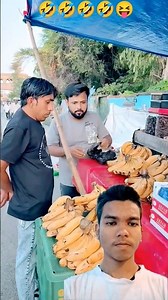 disabled duckling helps his cat friend 🐥 DuckRescue #CuteAnimal #AnimalRescue