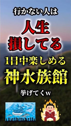 行かない人は人生損してる1日中楽しめる神水族館7選#おすすめ #人気