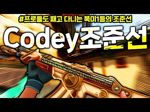 북미 랭킹1위는 어떤 조준선을 쓸까? ㅣ전국에서 발로란트를 제일 잘하는 스트리머 codey의 조준선 리뷰 ㅣ 발로란트 조준선아저씨 마닥개