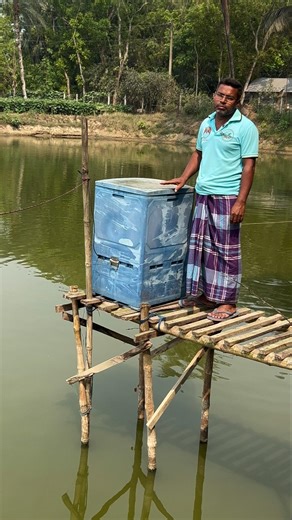 No human is needed to feed the fish — a digital automatic feeding machine does it.
