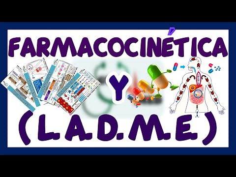 Pharmacokinetics Absorption Distribution Metabolism Elimination | GuiaMed