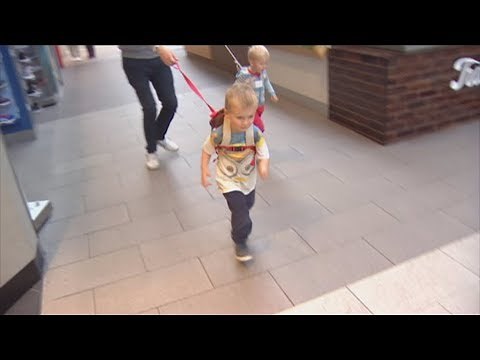 Cruel or safety-conscious – should you put your child on a leash?