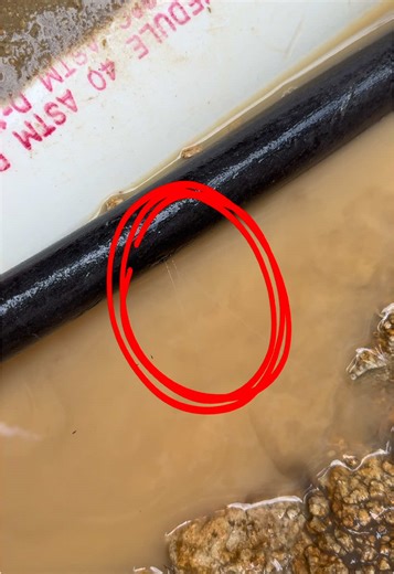 Expert Guide to Repairing Water Leaks in Plumbing