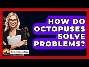 How Do Octopuses Solve Problems? - The Documentary Reel