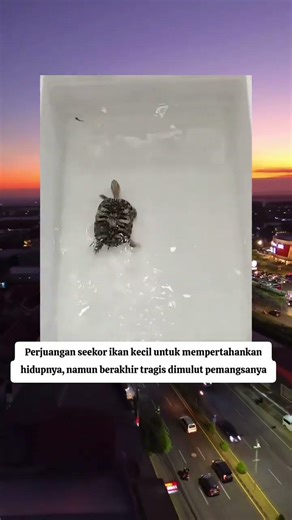 Perjuangan berakhir pilu #kisahpilu #kisahinspiratif