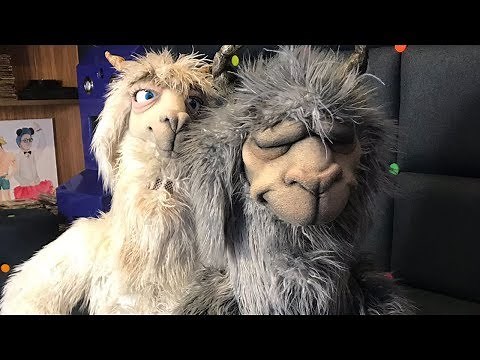 Fall Out Boy's Llamas - World Exclusive First Interview