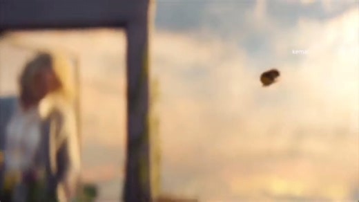 讓音樂隨它而去/弗蘭克·普塞爾laisse aller la musique/franck pourcel