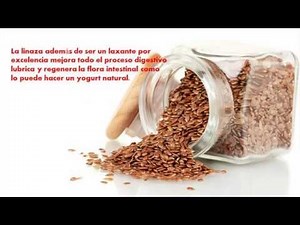 Que Desayunar Para Poder Ir Al Bano
