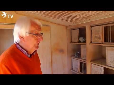 Wolfgang Roeper look at the Widowhood Loft (Racing Pigeons)