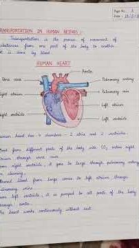 Class 10 science notes chapter 6 Life Process ncert board class