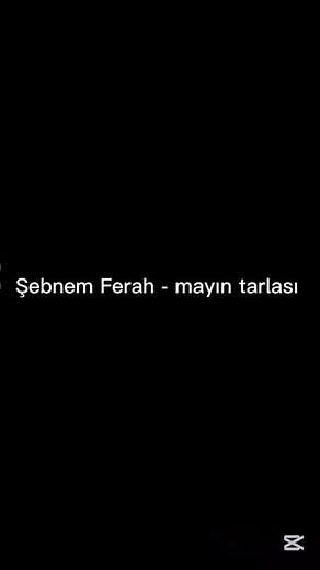 Şebnem Ferah - mayın tarlası lyrics/sözleri #edit