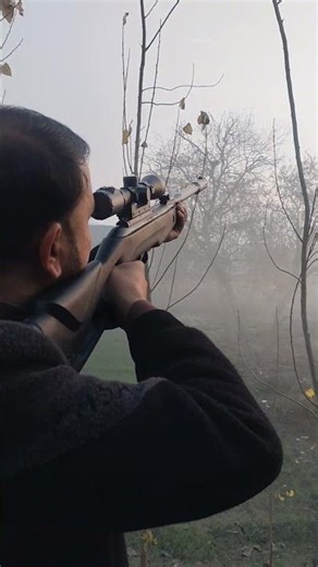 Airgun Hunting Birds | Long Distance Shots Bird Hunting Airgun Perfect Aim