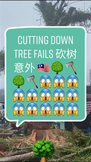 CUTTING DOWN TREE FAILS IN MALAYSIA LET'S HOLD & LET GO 砍树意外 🇲🇾🌳🪓🌳🪓🌳 #意外 #砍树意外 #treefall #biang #chainsaw #heaven #neighbour #neighbourhouse