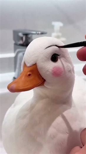 Beautiful White Duck 🦆 | Cute Duck Moments in Stunning 4K #shorts