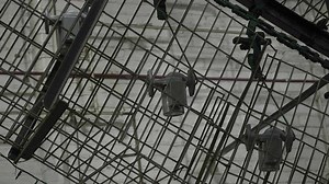 29 reactions · 8 comments | Ever wonder how Taco Pumps get their green color? We saw for ourselves at the Taco Comfort Solutions facility in Rhode Island. Keep an eye out for our upcoming Trade Life documentary on Taco! | SupplyHouse | Facebook