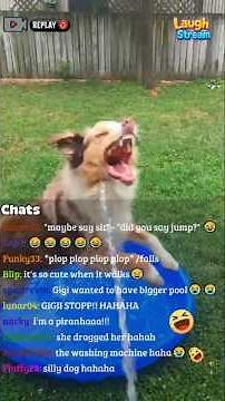 Dogs vs Pools 😂🐶 | Hilarious Swimming Fails Compilation #shorts