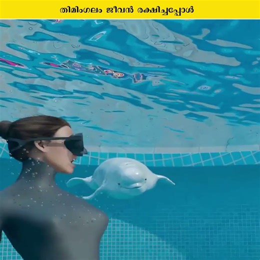 തിമിംഗലം ജീവൻ രക്ഷിച്ചപ്പോൾ #shorts